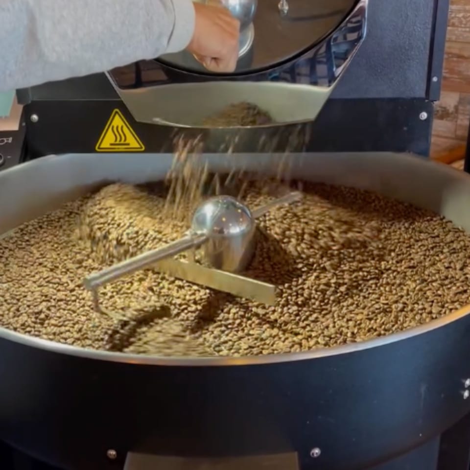A person's hand pouring green coffee beans into a large, industrial coffee roaster.